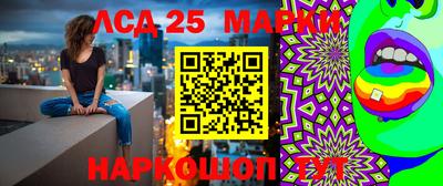 apvp Донской