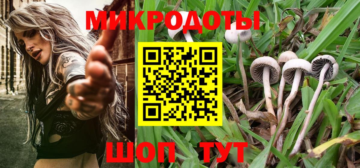 Псилоцибиновые грибы Cubensis Щёлково